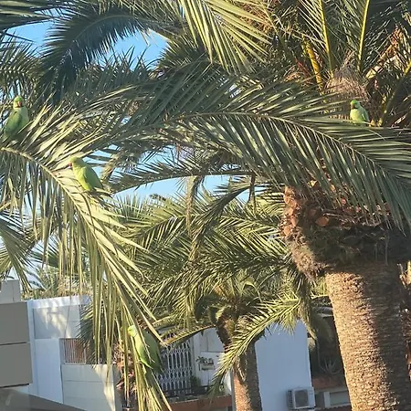 Lovely With Pool Costa Del Silencio