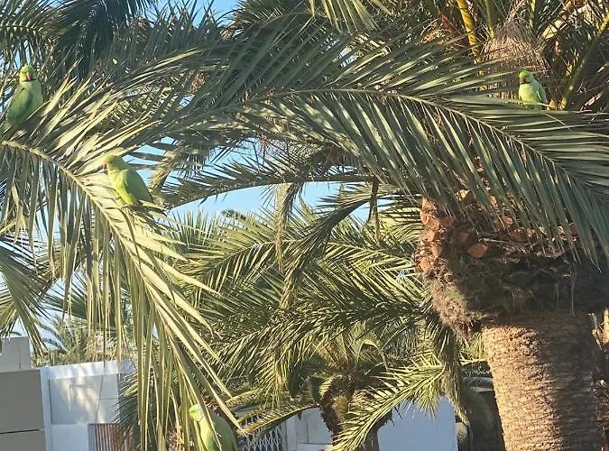 Lovely With Pool 德尔锡伦西奥海岸